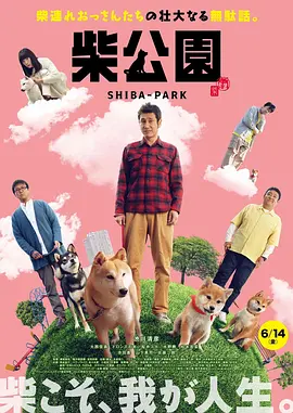 成年男女免费视频网站